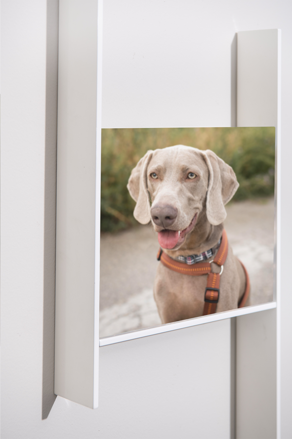 Dierenurne Luneaux Medium - Fotokader als urne voor dieren